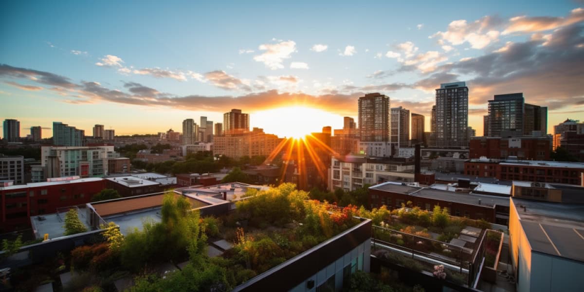 city skyline with a rooftop garden surrounded by a bright blue sky with the sun setting