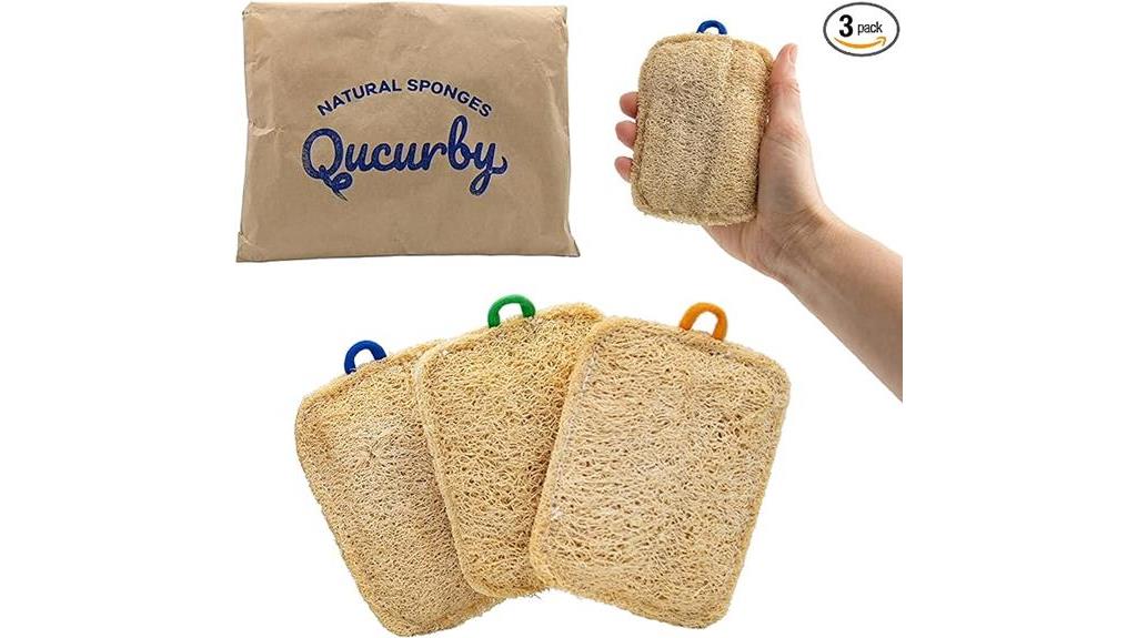natural loofah kitchen sponge