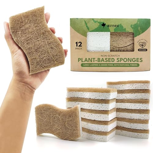 Best Eco Friendly Kitchen Products for a Sustainable Home Transformation