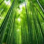 The Value of Building with Bamboo